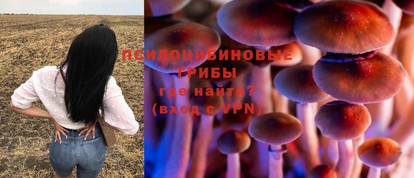 амф Касимов