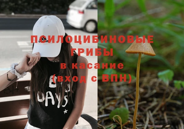 амф Касимов